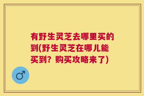 有野生灵芝去哪里买的到(野生灵芝在哪儿能买到?购买攻略来了) 有野生灵芝去哪里买的到(野生灵芝在哪儿能买到?购买攻略来了)