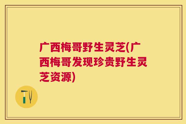 广西梅哥野生灵芝(广西梅哥发现珍贵野生灵芝资源)