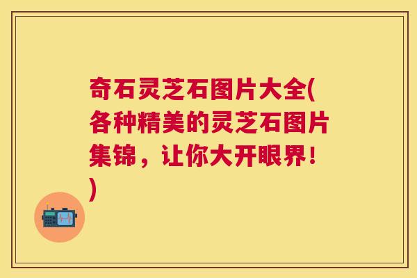 奇石灵芝石图片大全(各种精美的灵芝石图片集锦，让你大开眼界！)