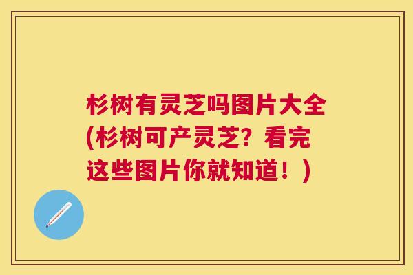 杉树有灵芝吗图片大全(杉树可产灵芝？看完这些图片你就知道！)