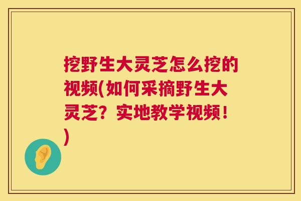 挖野生大灵芝怎么挖的视频(如何采摘野生大灵芝？实地教学视频！)