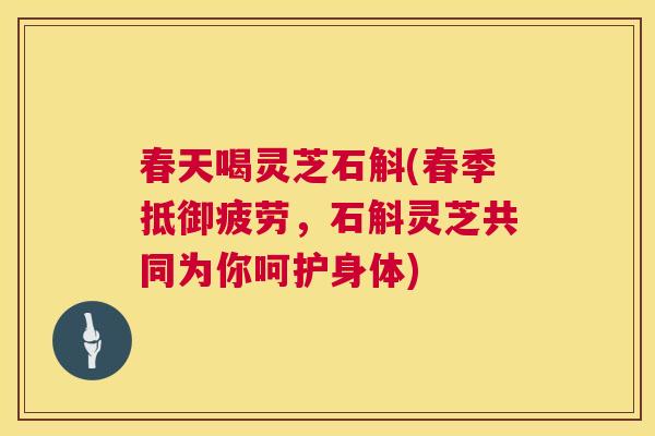 春天喝灵芝石斛(春季抵御疲劳,石斛灵芝共同为你呵护身体) 春天喝灵芝石斛(春季抵御疲劳,石斛灵芝共同为你呵护身体)