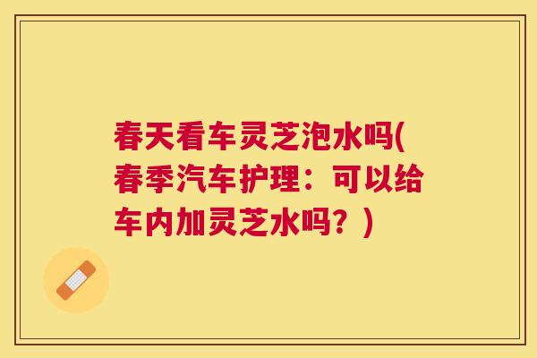春天看车灵芝泡水吗(春季汽车护理：可以给车内加灵芝水吗？)