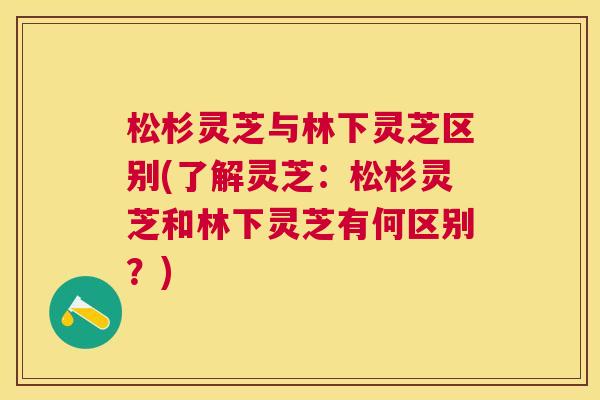 松杉灵芝与林下灵芝区别(了解灵芝：松杉灵芝和林下灵芝有何区别？)