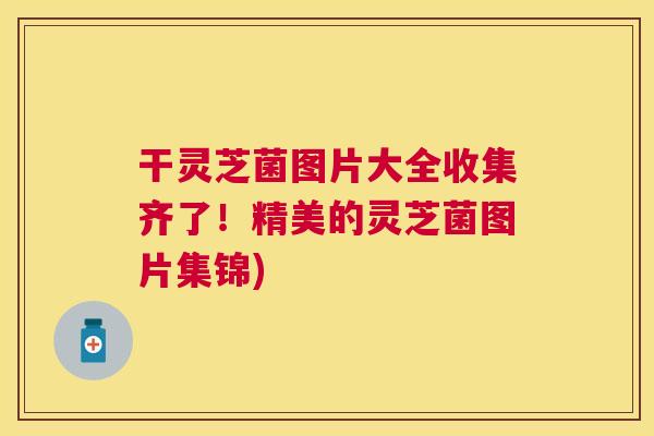 干灵芝菌图片大全收集齐了！精美的灵芝菌图片集锦)