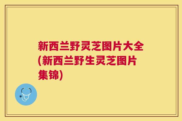 新西兰野灵芝图片大全(新西兰野生灵芝图片集锦) 新西兰野灵芝图片大全(新西兰野生灵芝图片集锦)