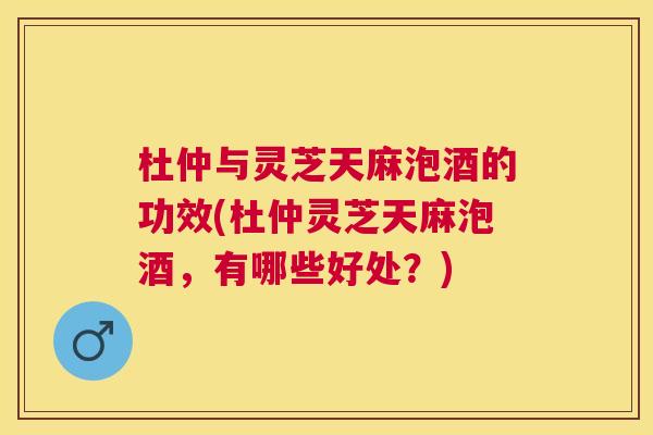 杜仲与灵芝天麻泡酒的功效(杜仲灵芝天麻泡酒,有哪些好处?) 杜仲与灵芝天麻泡酒的功效(杜仲灵芝天麻泡酒,有哪些好处?)