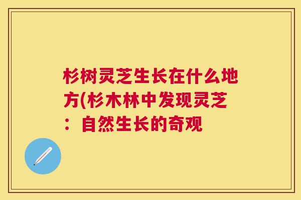 杉树灵芝生长在什么地方(杉木林中发现灵芝：自然生长的奇观