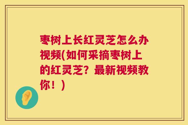 枣树上长红灵芝怎么办视频(如何采摘枣树上的红灵芝?新视频教你!) 枣树上长红灵芝怎么办视频(如何采摘枣树上的红灵芝?新视频教你!)