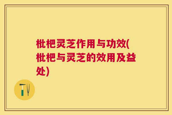 枇杷灵芝作用与功效(枇杷与灵芝的效用及益处) 枇杷灵芝作用与功效(枇杷与灵芝的效用及益处)
