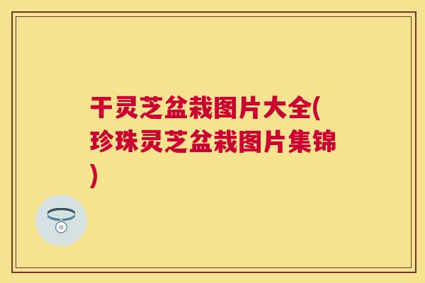 干灵芝盆栽图片大全(珍珠灵芝盆栽图片集锦)