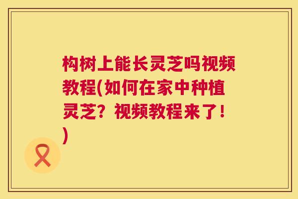 构树上能长灵芝吗视频教程(如何在家中种植灵芝?视频教程来了!) 构树上能长灵芝吗视频教程(如何在家中种植灵芝?视频教程来了!)