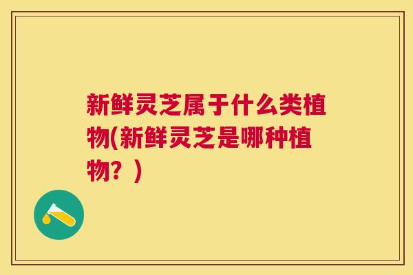 新鲜灵芝属于什么类植物(新鲜灵芝是哪种植物?) 新鲜灵芝属于什么类植物(新鲜灵芝是哪种植物?)