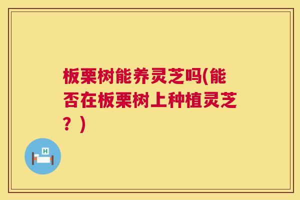 板栗树能养灵芝吗(能否在板栗树上种植灵芝?) 板栗树能养灵芝吗(能否在板栗树上种植灵芝?)