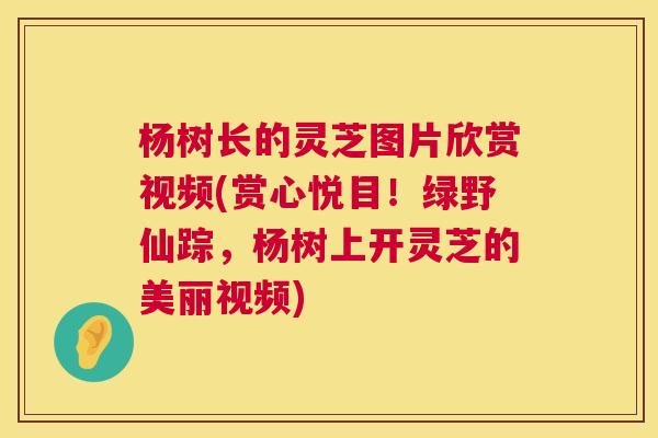 杨树长的灵芝图片欣赏视频(赏心悦目!绿野仙踪,杨树上开灵芝的美丽视频) 杨树长的灵芝图片欣赏视频(赏心悦目!绿野仙踪,杨树上开灵芝的美丽视频)