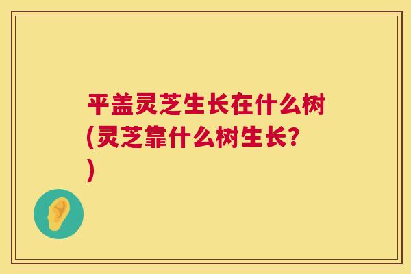 平盖灵芝生长在什么树(灵芝靠什么树生长？)