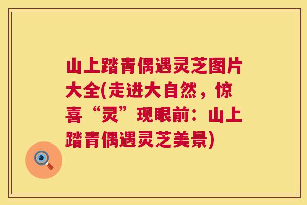 山上踏青偶遇灵芝图片大全(走进大自然,惊喜“灵”现眼前:山上踏青偶遇灵芝美景) 山上踏青偶遇灵芝图片大全(走进大自然,惊喜“灵”现眼前:山上踏青偶遇灵芝美景)