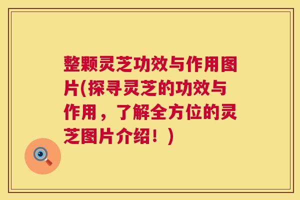 整颗灵芝功效与作用图片(探寻灵芝的功效与作用,了解全方位的灵芝图片介绍!) 整颗灵芝功效与作用图片(探寻灵芝的功效与作用,了解全方位的灵芝图片介绍!)