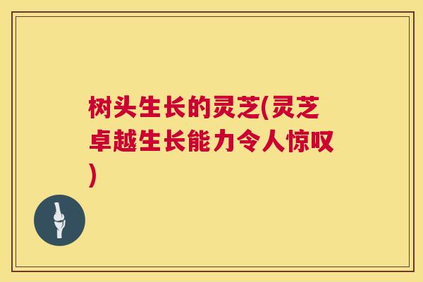 树头生长的灵芝(灵芝卓越生长能力令人惊叹)