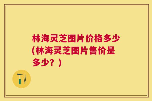 林海灵芝图片价格多少(林海灵芝图片售价是多少?) 林海灵芝图片价格多少(林海灵芝图片售价是多少?)