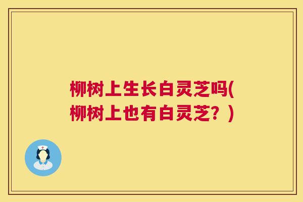 柳树上生长白灵芝吗(柳树上也有白灵芝?) 柳树上生长白灵芝吗(柳树上也有白灵芝?)
