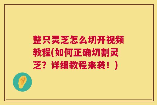 整只灵芝怎么切开视频教程(如何正确切割灵芝?详细教程来袭!) 整只灵芝怎么切开视频教程(如何正确切割灵芝?详细教程来袭!)