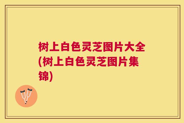 树上白色灵芝图片大全(树上白色灵芝图片集锦)
