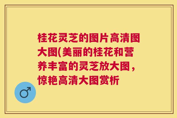 桂花灵芝的图片高清图大图(美丽的桂花和营养丰富的灵芝放大图,惊艳高清大图赏析 桂花灵芝的图片高清图大图(美丽的桂花和营养丰富的灵芝放大图,惊艳高清大图赏析