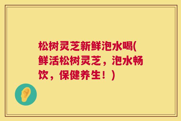 松树灵芝新鲜泡水喝(鲜活松树灵芝,泡水畅饮,保健养生!) 松树灵芝新鲜泡水喝(鲜活松树灵芝,泡水畅饮,保健养生!)