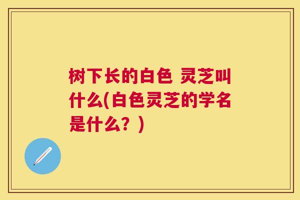 树下长的白色 灵芝叫什么(白色灵芝的学名是什么?) 树下长的白色 灵芝叫什么(白色灵芝的学名是什么?)