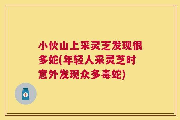 小伙山上采灵芝发现很多蛇(年轻人采灵芝时意外发现众多毒蛇) 小伙山上采灵芝发现很多蛇(年轻人采灵芝时意外发现众多毒蛇)