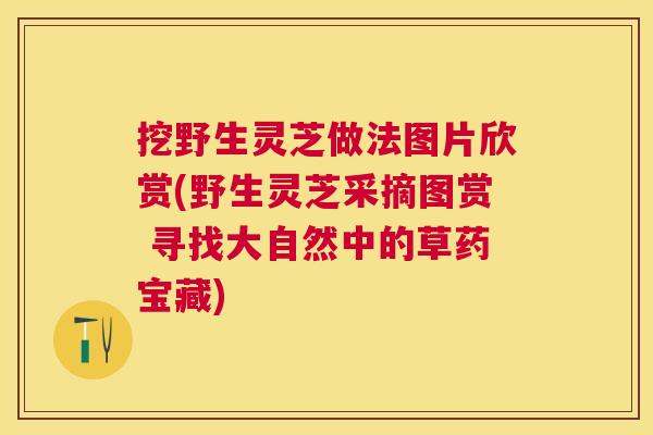 挖野生灵芝做法图片欣赏(野生灵芝采摘图赏 寻找大自然中的草药宝藏) 挖野生灵芝做法图片欣赏(野生灵芝采摘图赏 寻找大自然中的草药宝藏)
