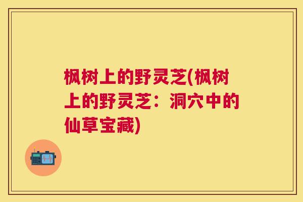 枫树上的野灵芝(枫树上的野灵芝：洞穴中的仙草宝藏)