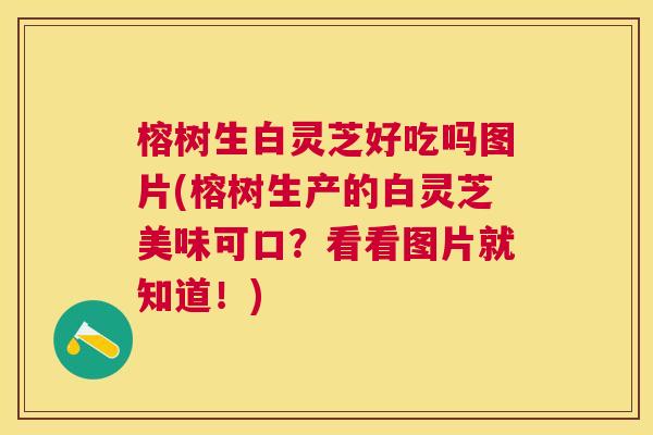 榕树生白灵芝好吃吗图片(榕树生产的白灵芝美味可口？看看图片就知道！)