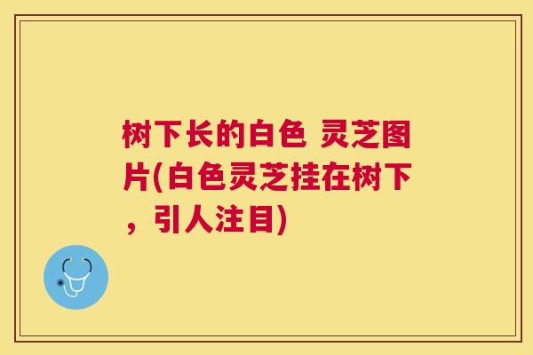 树下长的白色 灵芝图片(白色灵芝挂在树下，引人注目)