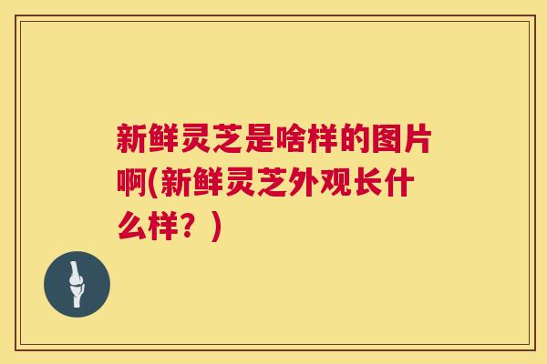 新鲜灵芝是啥样的图片啊(新鲜灵芝外观长什么样?) 新鲜灵芝是啥样的图片啊(新鲜灵芝外观长什么样?)