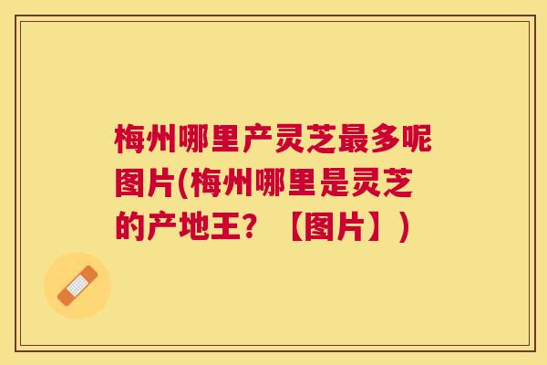 梅州哪里产灵芝多呢图片(梅州哪里是灵芝的产地王？【图片】)