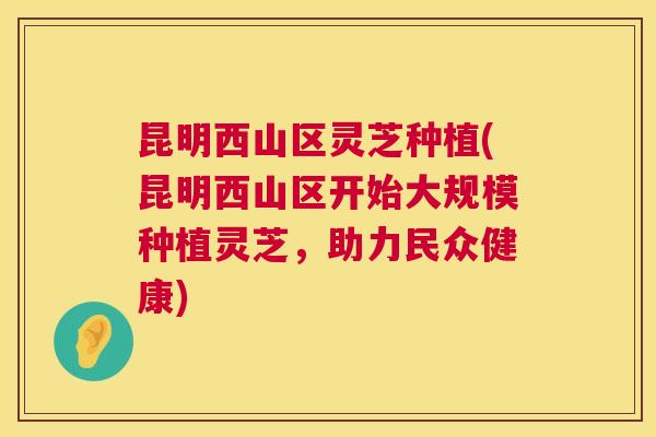 昆明西山区灵芝种植(昆明西山区开始大规模种植灵芝,助力民众健康) 昆明西山区灵芝种植(昆明西山区开始大规模种植灵芝,助力民众健康)