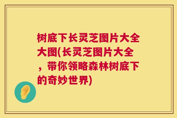 树底下长灵芝图片大全大图(长灵芝图片大全，带你领略森林树底下的奇妙世界)