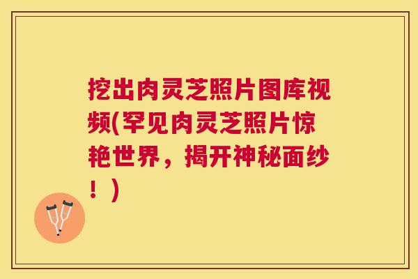 挖出肉灵芝照片图库视频(罕见肉灵芝照片惊艳世界，揭开神秘面纱！)