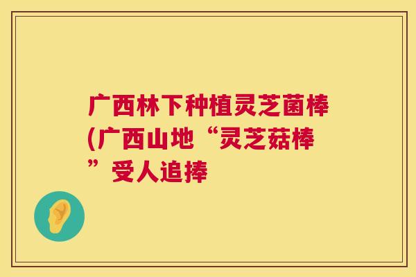 广西林下种植灵芝菌棒(广西山地“灵芝菇棒”受人追捧