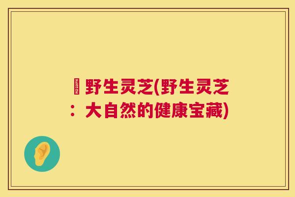 採野生灵芝(野生灵芝：大自然的健康宝藏)
