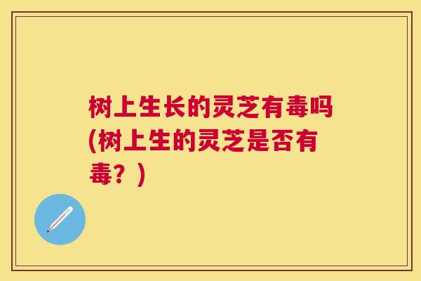 树上生长的灵芝有毒吗(树上生的灵芝是否有毒?) 树上生长的灵芝有毒吗(树上生的灵芝是否有毒?)