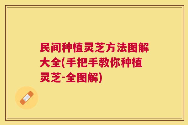 民间种植灵芝方法图解大全(手把手教你种植灵芝-全图解)