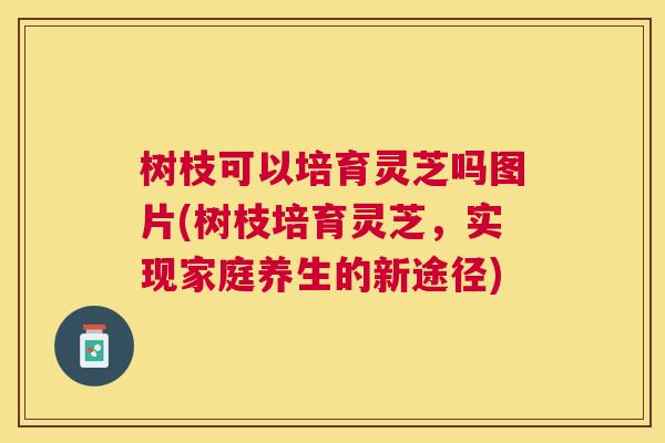 树枝可以培育灵芝吗图片(树枝培育灵芝,实现家庭养生的新途径) 树枝可以培育灵芝吗图片(树枝培育灵芝,实现家庭养生的新途径)