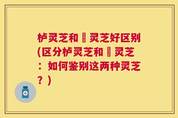 栌灵芝和艼灵芝好区别(区分栌灵芝和艼灵芝:如何鉴别这两种灵芝?) 栌灵芝和艼灵芝好区别(区分栌灵芝和艼灵芝:如何鉴别这两种灵芝?)