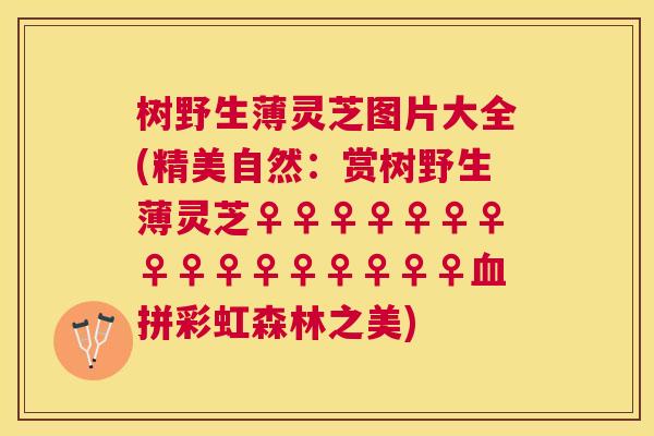 树野生薄灵芝图片大全(精美自然：赏树野生薄灵芝♀♀♀♀♀♀♀♀♀♀♀♀♀♀♀♀拼彩虹森林之美)
