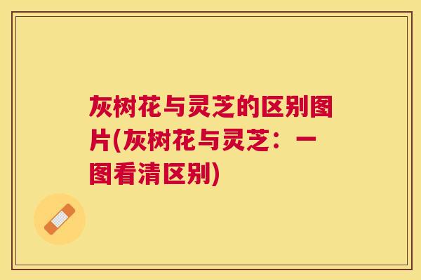 灰树花与灵芝的区别图片(灰树花与灵芝:一图看清区别) 灰树花与灵芝的区别图片(灰树花与灵芝:一图看清区别)