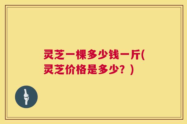 灵芝一棵多少钱一斤(灵芝价格是多少？)