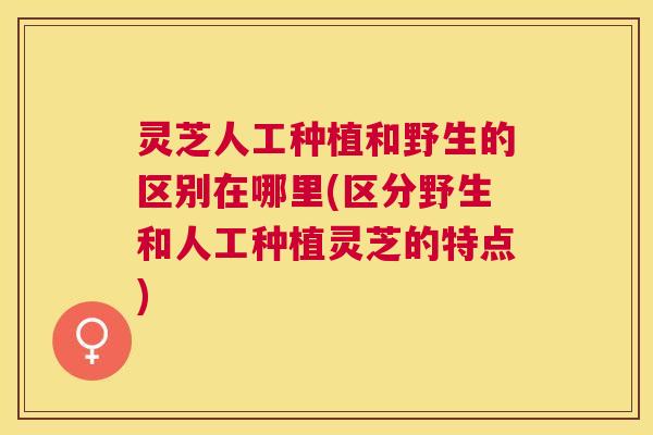 灵芝人工种植和野生的区别在哪里(区分野生和人工种植灵芝的特点)